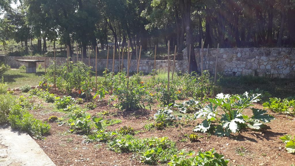 La Maison De Jenny Bed and Breakfast Montauroux Εξωτερικό φωτογραφία